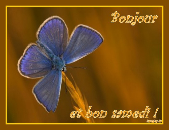 Bonjour et merci pour vos messages !