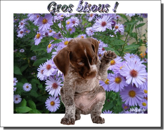 Gros bisous et à demain !