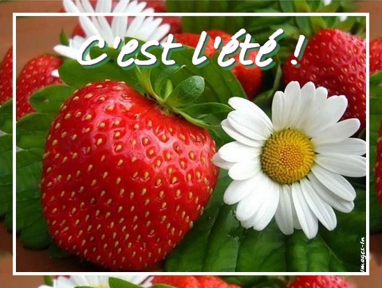 C'est l'été !