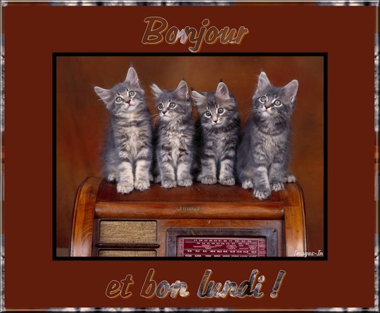 Bonjour et bon lundi !