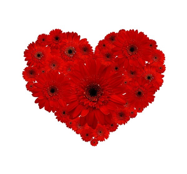 Le Coeur en fleurs main image 1