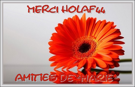 Kdo pour Holaf44