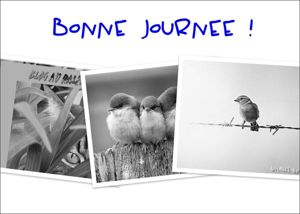 Bonne fin de semaine et à lundi !