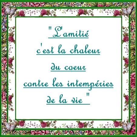 Citation sur l'amitié