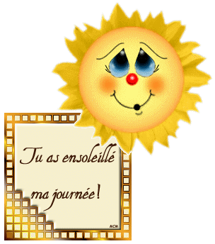 Tu ensoleilles ma journée