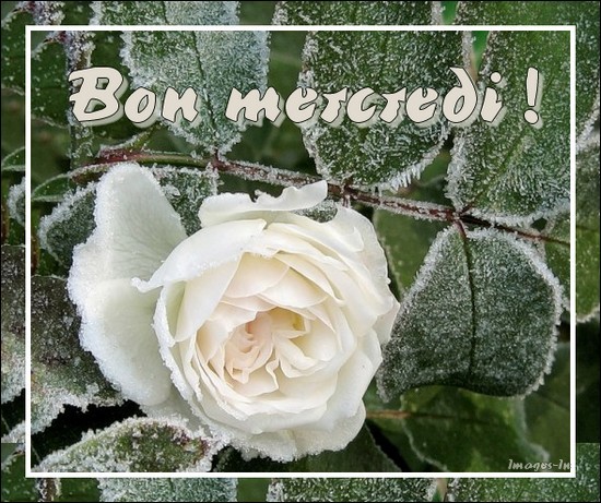 Bon mercredi !