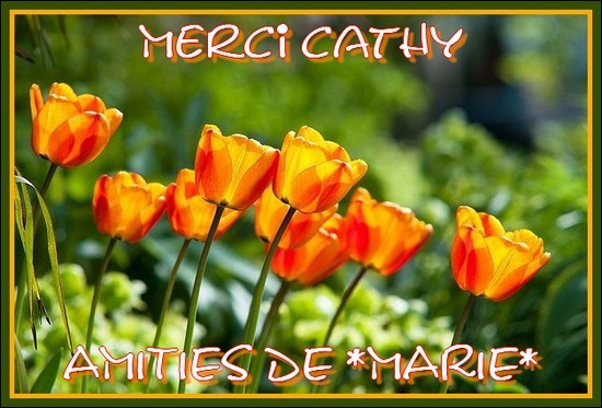 Kdo pour Cathy (des sentiers de)