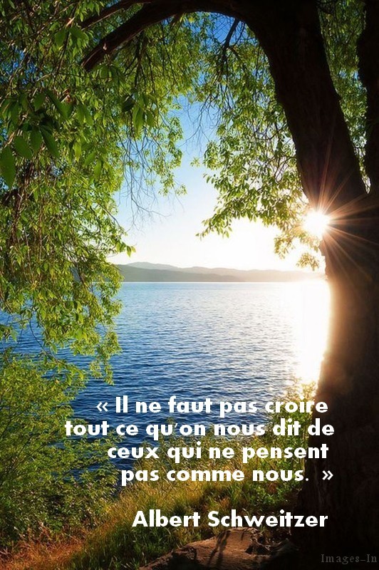 Citation D Albert Schweitzer 2