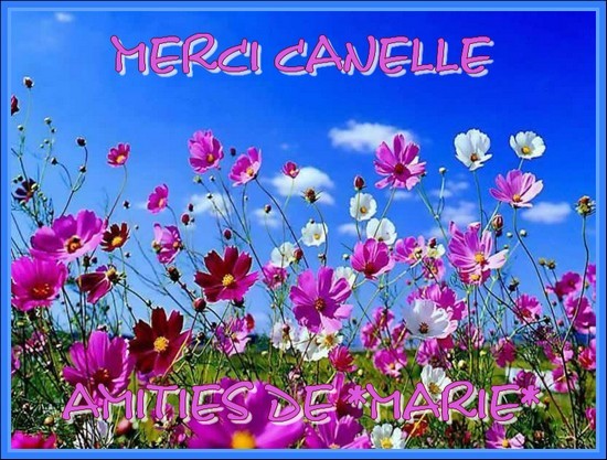 Kdo pour Canelle 