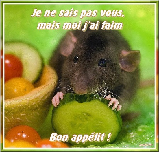 Bon App Tit Humour Faim