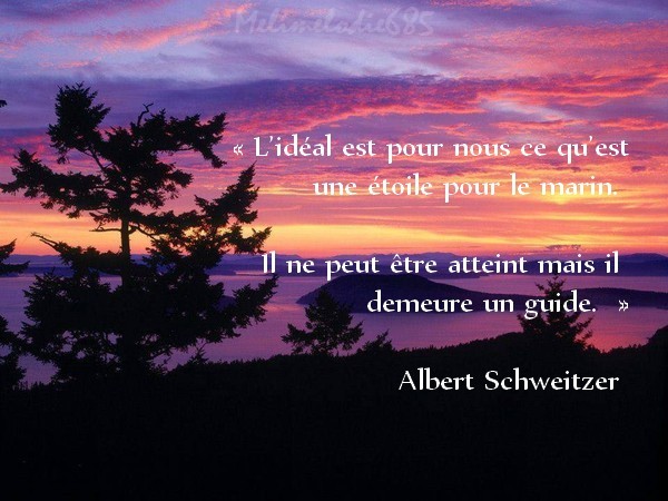 Citation D Albert Schweitzer 1