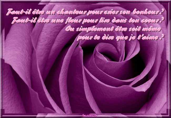 Citation d'amour