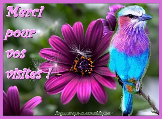 Merci De L'intérêt Que Vous Portez mes creas merci a vous - Page 5